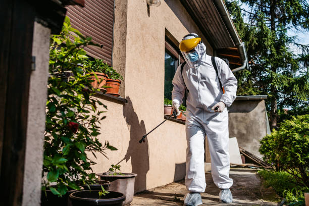 Best Flea Control Services  in Gladstone, MI