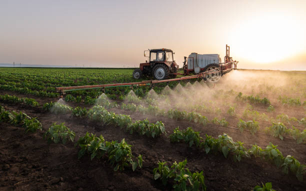 Best Mosquito Control Services  in Gladstone, MI