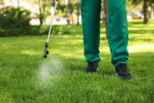 Best Insect Control  in Gladstone, MI
