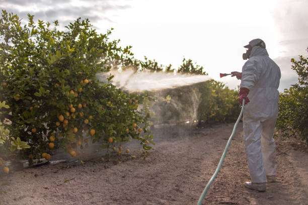 Best Bed Bug Extermination  in Gladstone, MI