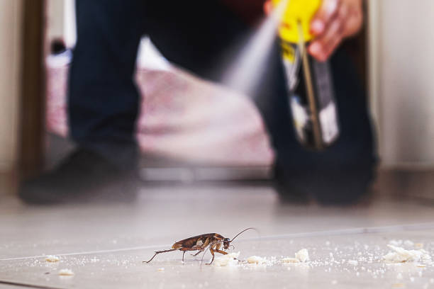Flea Control Services in Gladstone, MI