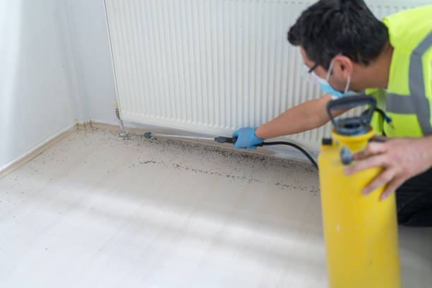 Wasp Removal Services in Gladstone, MI