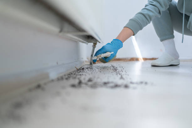 Best Commercial Pest Control Services  in Gladstone, MI