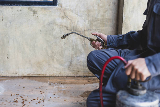 Best Affordable Pest Control Services  in Gladstone, MI
