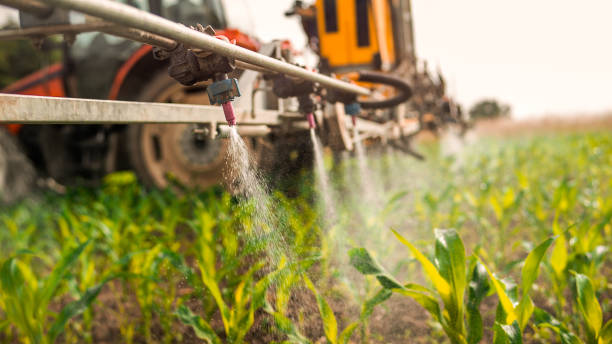 Pest Control Cost in Gladstone, MI